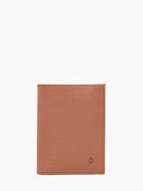 Wallet With Coin Purse Leather Madras Etrier Brown madras EMAD142