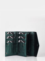 Leather Etincelle Irise Portefeuille Etrier Green etincelle irisee EETI469-vue-porte